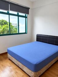 Changi Court (D16), Condominium #617083731